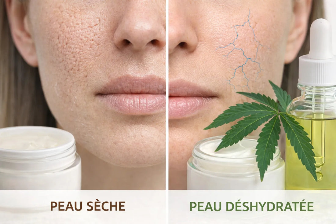 difference peau seche ou deshydratee soin naturel chanvre hydratation peau visage