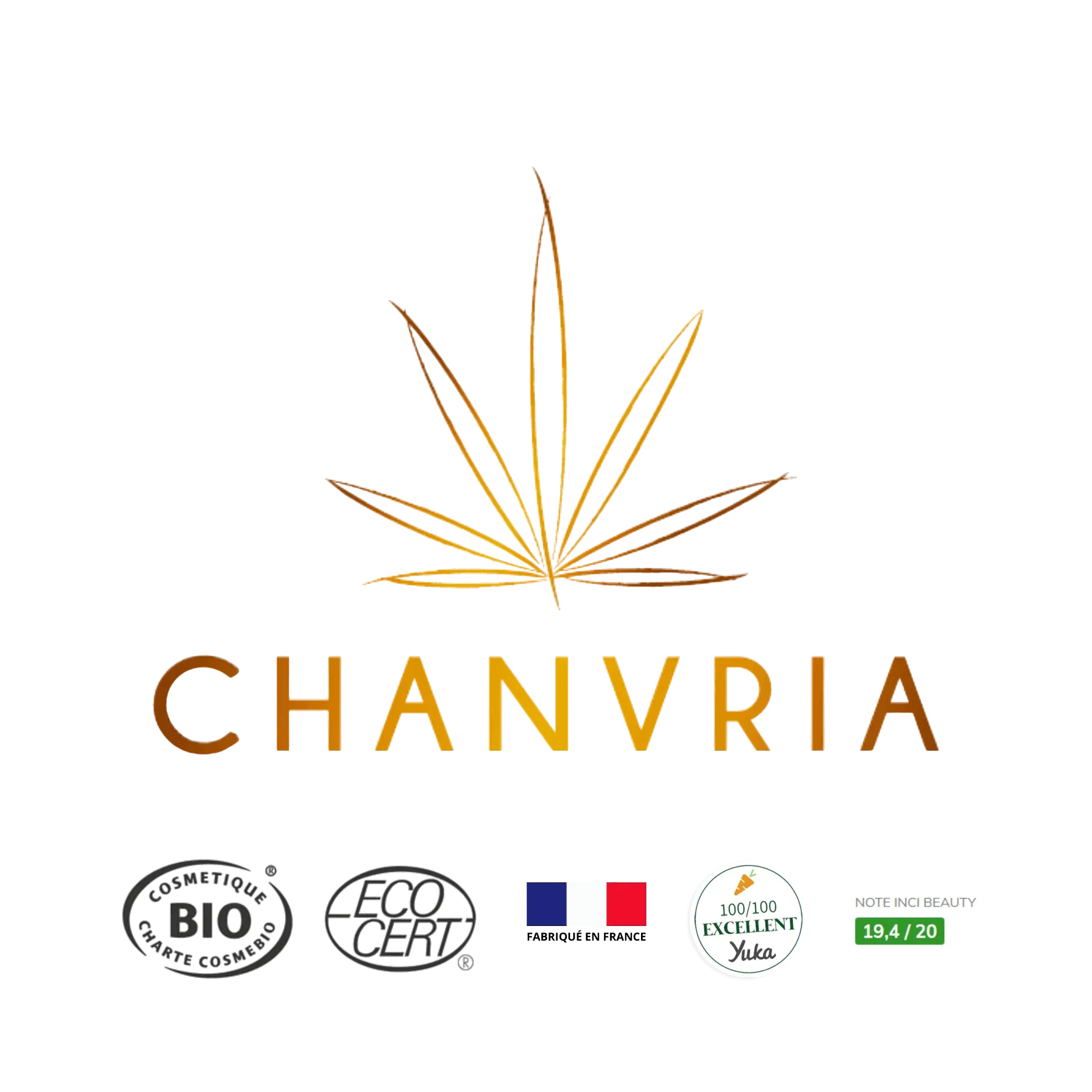 Sérum Hydratant Chanvre Bio – 30 ml - Rituel - SaBulle